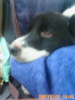 20070701144611.jpg